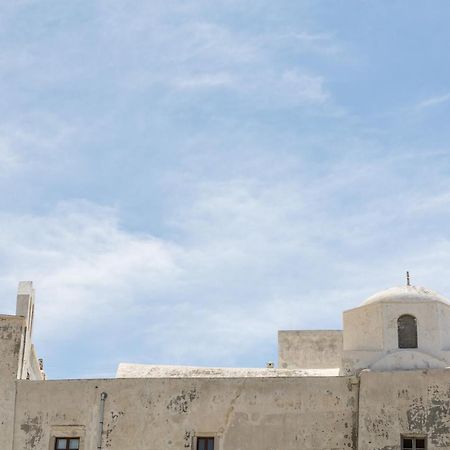 Villa Alkara House à Naxos City Extérieur photo